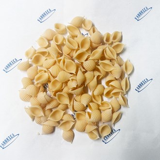 Fabbrica Fresh Egg Conchiglie - FS